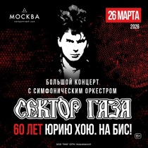 СЕКТОР ГАЗА в КЗ "Москва" (Москва)